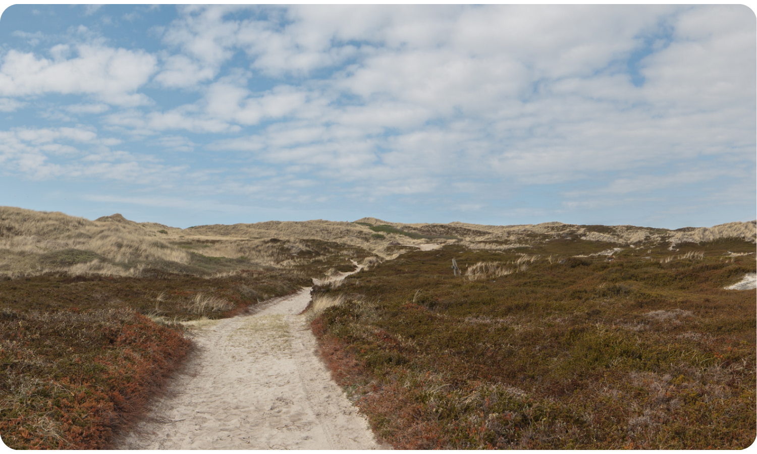 Wann ist FPZ für mich nicht geeignet?